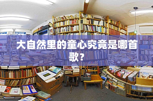 大自然里的童心究竟是哪首歌？
