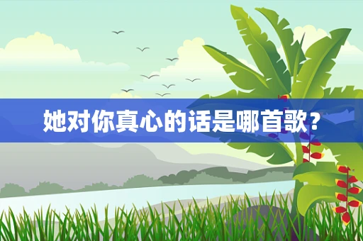她对你真心的话是哪首歌？