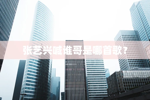 张艺兴喊谁哥是哪首歌？