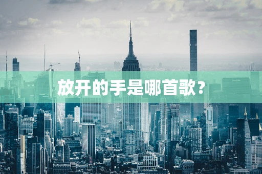 放开的手是哪首歌？