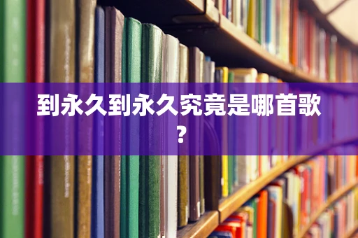 到永久到永久究竟是哪首歌？
