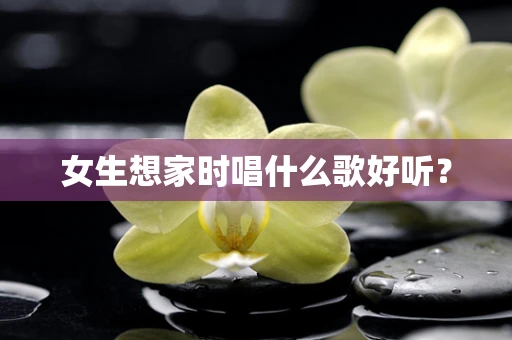 女生想家时唱什么歌好听？