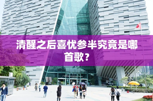 清醒之后喜忧参半究竟是哪首歌？