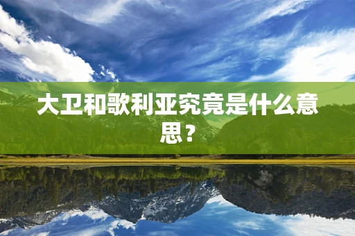大卫和歌利亚究竟是什么意思？