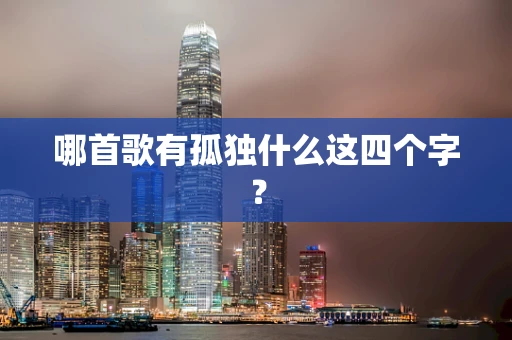 哪首歌有孤独什么这四个字？
