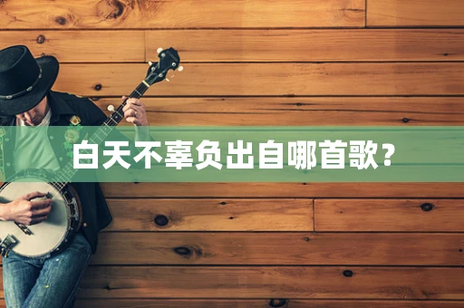 白天不辜负出自哪首歌？