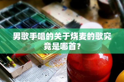 男歌手唱的关于烧麦的歌究竟是哪首？