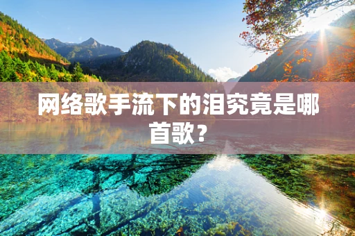 网络歌手流下的泪究竟是哪首歌？
