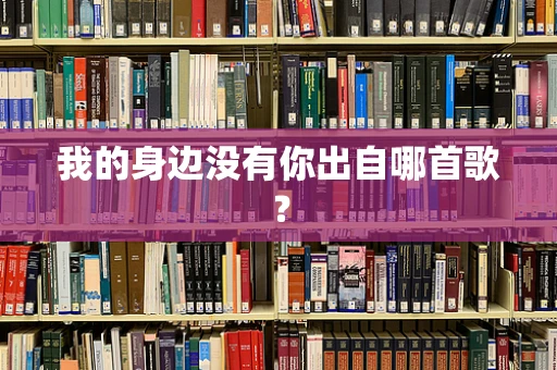 我的身边没有你出自哪首歌？
