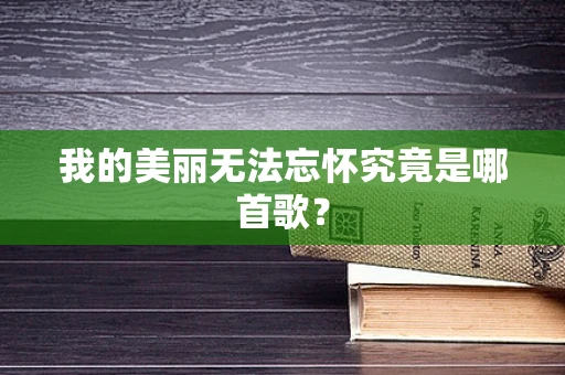 我的美丽无法忘怀究竟是哪首歌？