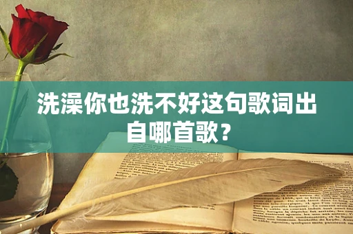 洗澡你也洗不好这句歌词出自哪首歌？