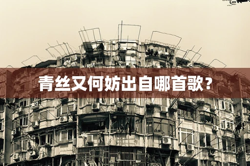 青丝又何妨出自哪首歌？