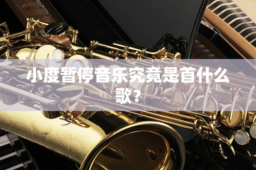 小度暂停音乐究竟是首什么歌？