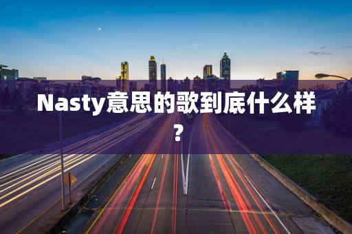 Nasty意思的歌到底什么样？