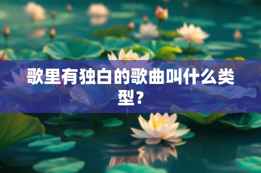歌里有独白的歌曲叫什么类型？