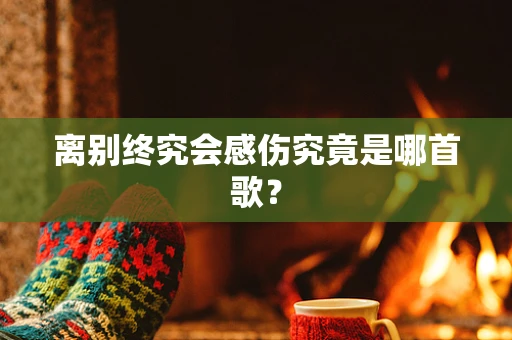 离别终究会感伤究竟是哪首歌？