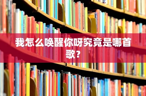 我怎么唤醒你呀究竟是哪首歌？