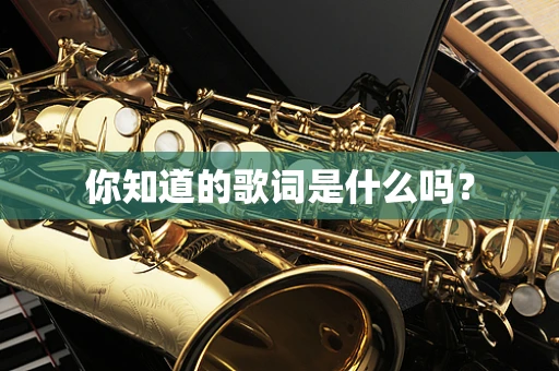 你知道的歌词是什么吗？