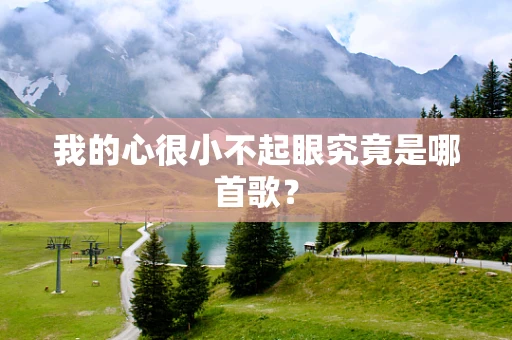 我的心很小不起眼究竟是哪首歌？