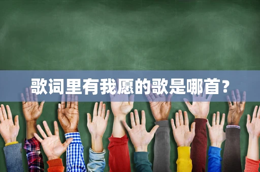 歌词里有我愿的歌是哪首？