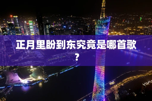 正月里盼到东究竟是哪首歌？