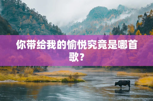 你带给我的愉悦究竟是哪首歌？