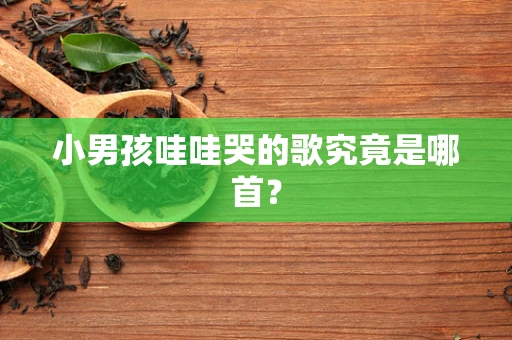 小男孩哇哇哭的歌究竟是哪首？