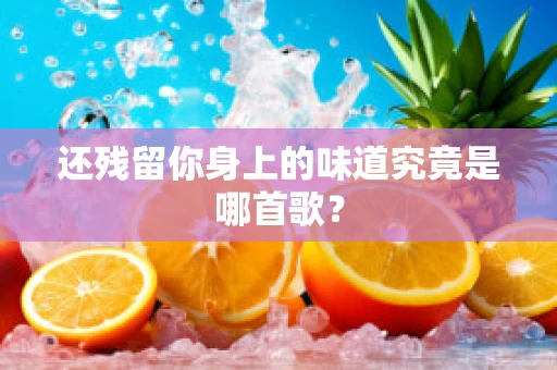 还残留你身上的味道究竟是哪首歌？