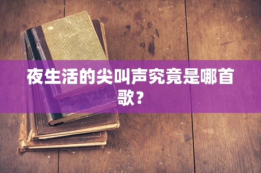 夜生活的尖叫声究竟是哪首歌？