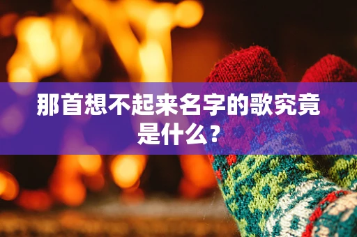 那首想不起来名字的歌究竟是什么？