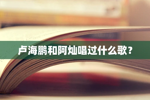 卢海鹏和阿灿唱过什么歌？
