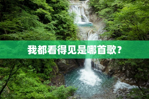 我都看得见是哪首歌？