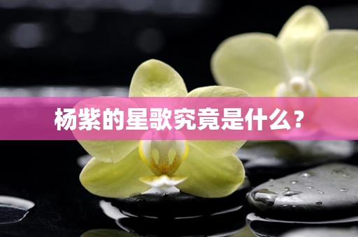 杨紫的星歌究竟是什么？