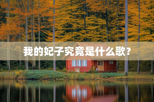 我的妃子究竟是什么歌？