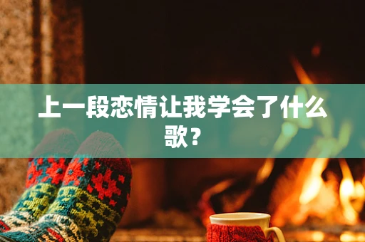 上一段恋情让我学会了什么歌？