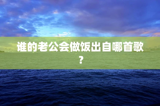 谁的老公会做饭出自哪首歌？