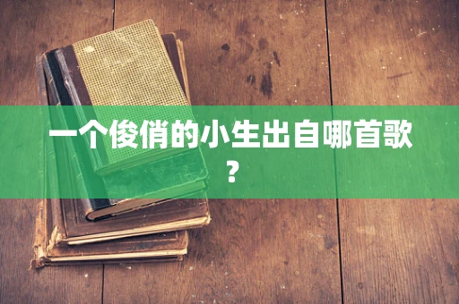 一个俊俏的小生出自哪首歌？