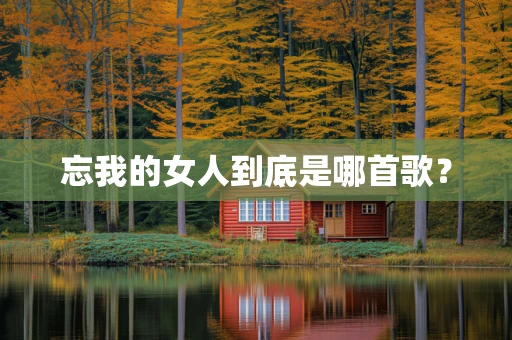忘我的女人到底是哪首歌？