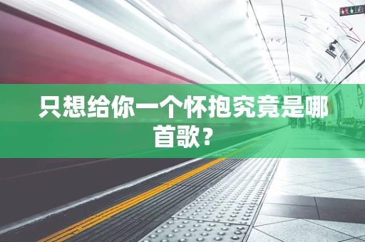 只想给你一个怀抱究竟是哪首歌？