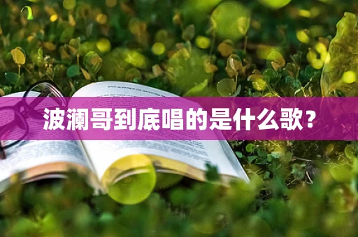 波澜哥到底唱的是什么歌？