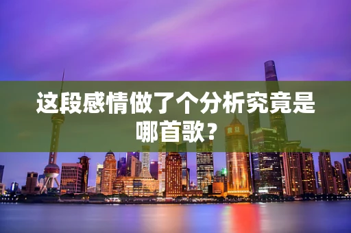 这段感情做了个分析究竟是哪首歌？