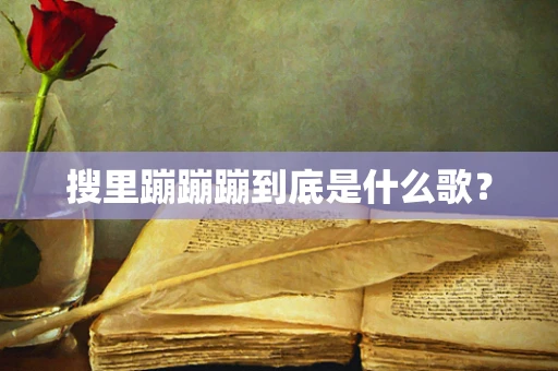 搜里蹦蹦蹦到底是什么歌？