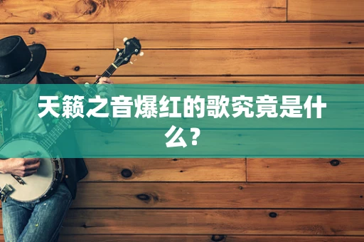 天籁之音爆红的歌究竟是什么？