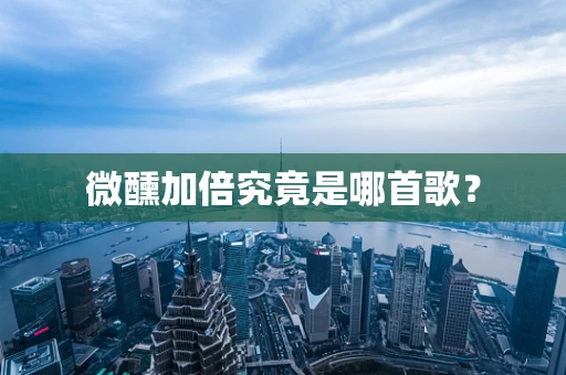微醺加倍究竟是哪首歌？