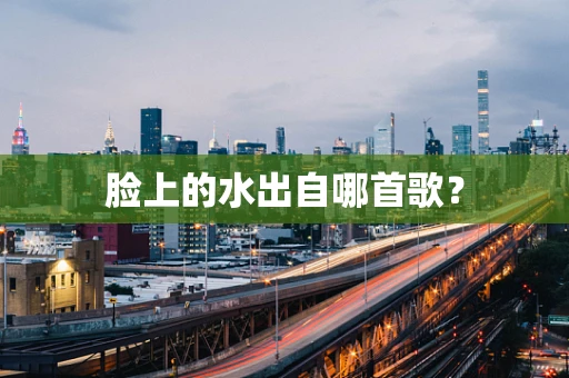 脸上的水出自哪首歌？
