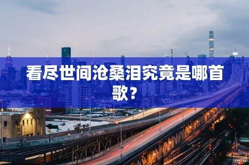 看尽世间沧桑泪究竟是哪首歌？