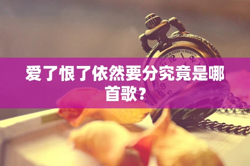 爱了恨了依然要分究竟是哪首歌？