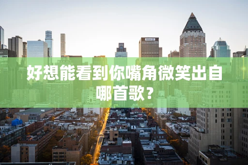 好想能看到你嘴角微笑出自哪首歌？