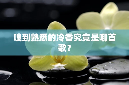 嗅到熟悉的冷香究竟是哪首歌？