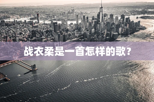 战衣柔是一首怎样的歌？